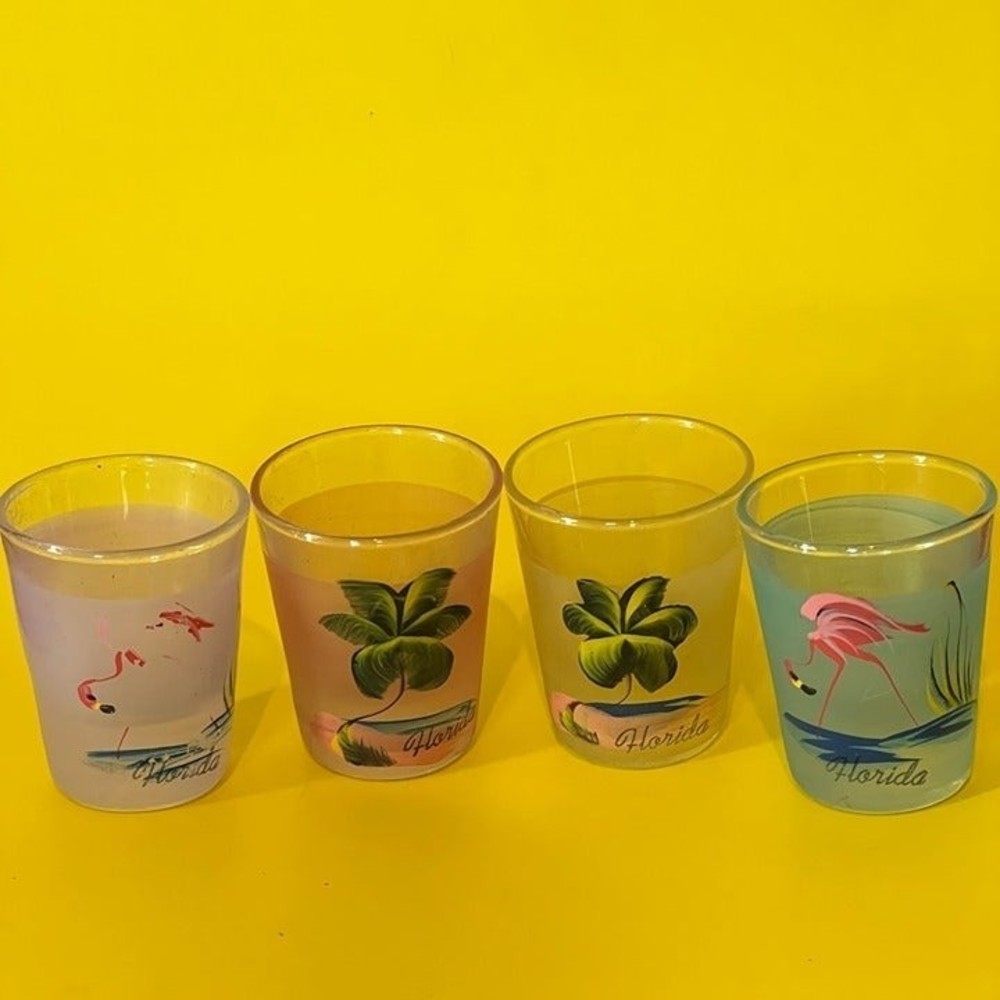 Vintage Miami Beach Florida shot glasses set of 4 frosted glass hand painted